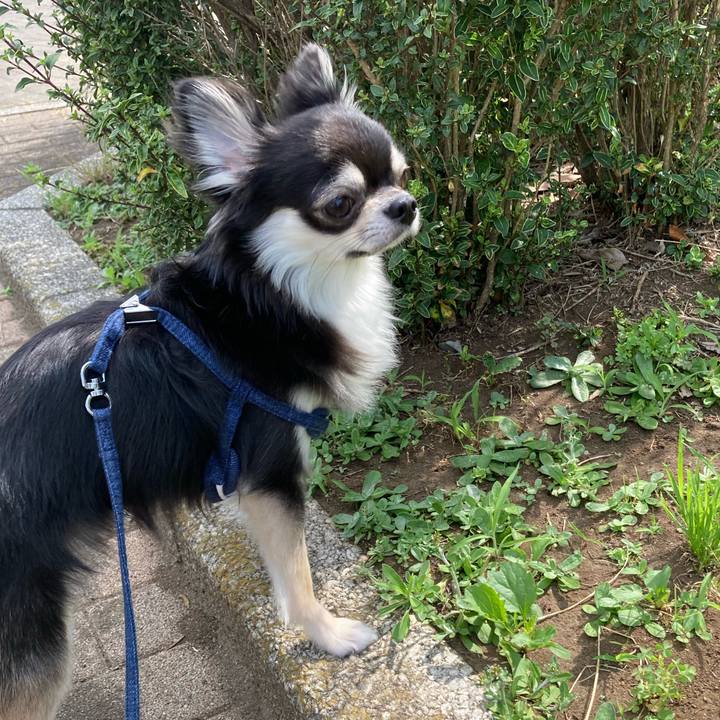 F5f1a117 5102 4aa9 900e 43211c0b421e 1623559160522