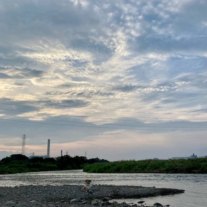 F5f1b64d d9d0 4b67 a380 3701b6f239bb 1660612683601