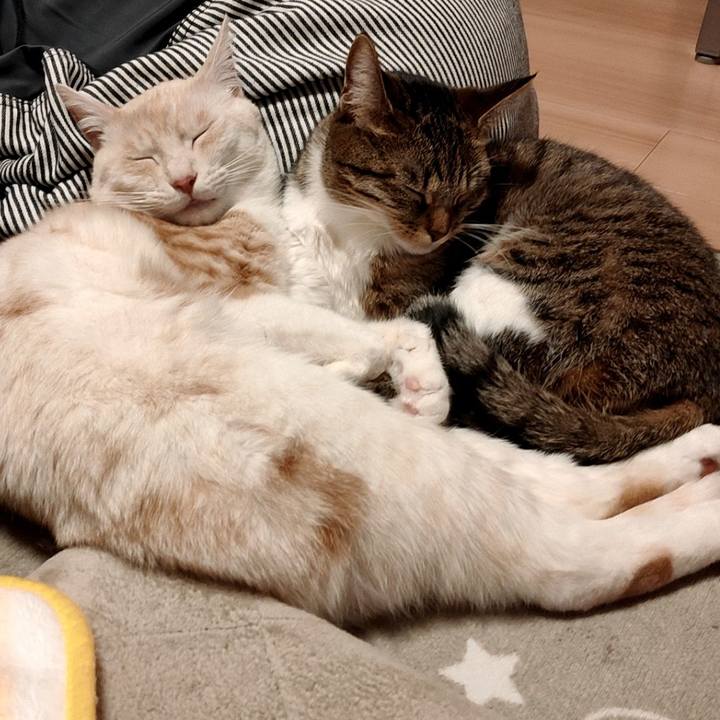 F5f25387 8275 4063 89fe 71128b6bbb50 1671444075053