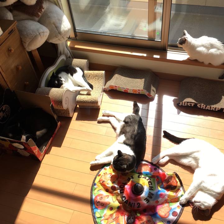 F5f25960 da72 4985 9344 2d566abf4b1a 1552354732383