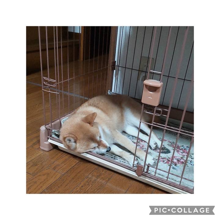 F5f27ef0 53c2 42cc ac8b 931b067d8c63 1747053381970