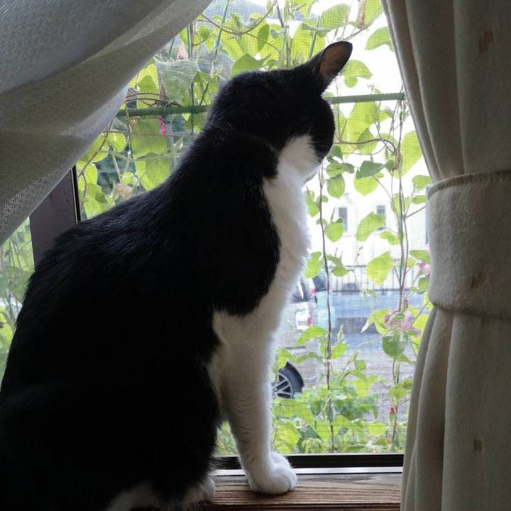 F5f28258 6d4a 46d4 996e 0a3cc78e6294 1659497398637