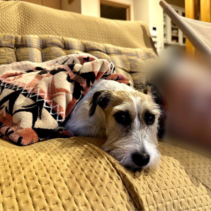 F5f28d6c 826a 449f acfe 20e1b96e4fae 1692242884797