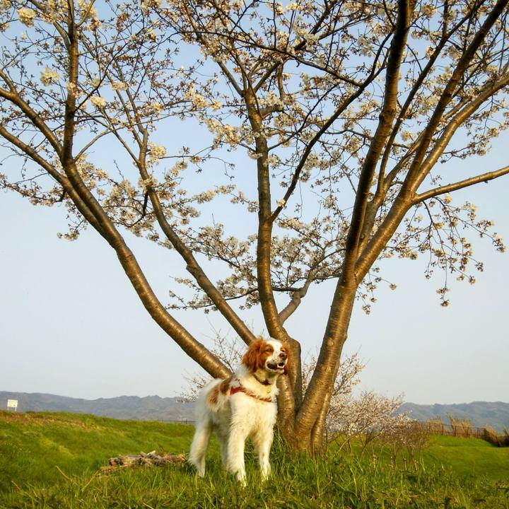 F5f2a07f 8d13 4fe7 9cdc 58233090c62e 1554637587910