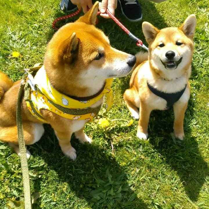 F5f2a2be 4424 4624 bb21 d4c6fd1b1795 1523159230740