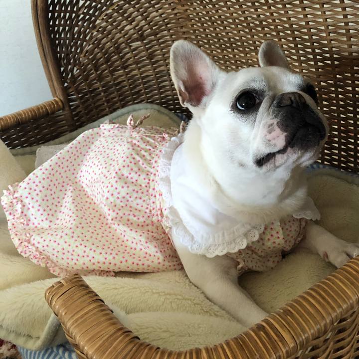 F5f2bf98 4fef 4002 b99b 0137dcc3bbe8 1554602225526