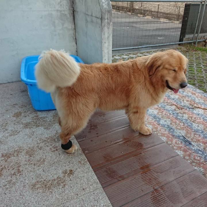 F5f2c33e cf76 4c34 a1a7 e330b3973074 1608996556244