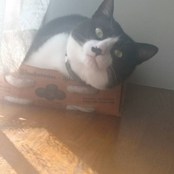 F5f2f75a c430 4992 8d12 fc64546e0dc2 1555902883380