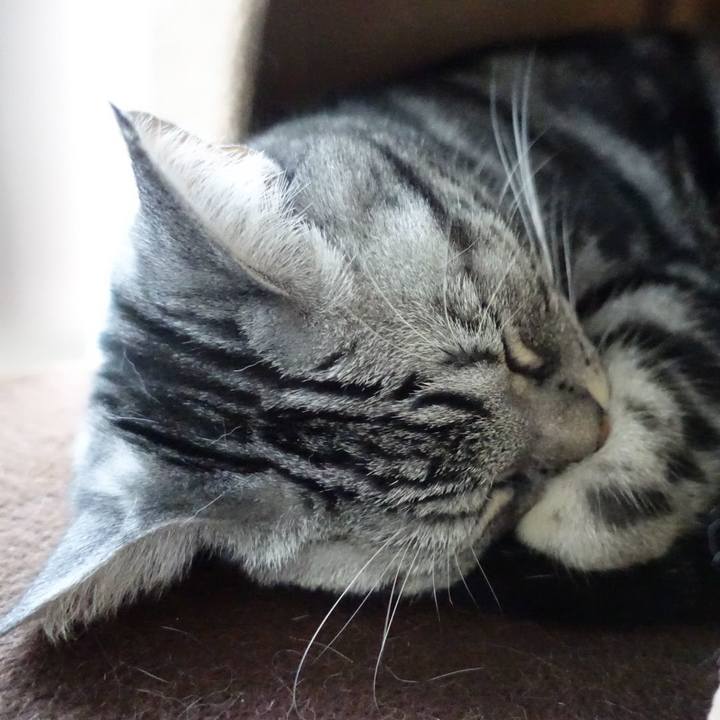 F5f2f881 cff8 4888 a448 8457680d40cf 1552196849103