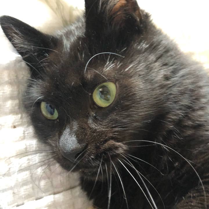 F5f34167 e17b 4d0d a717 498a855a9d77 1592688571220