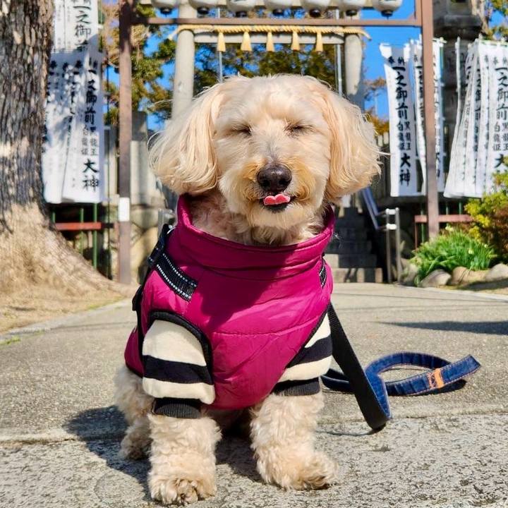 F5f36807 68ae 4ccc 9782 581904c5af6a 1770869810539