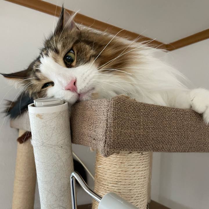 F5f38d89 1287 427b 98a3 9177dd079284 1682716017529