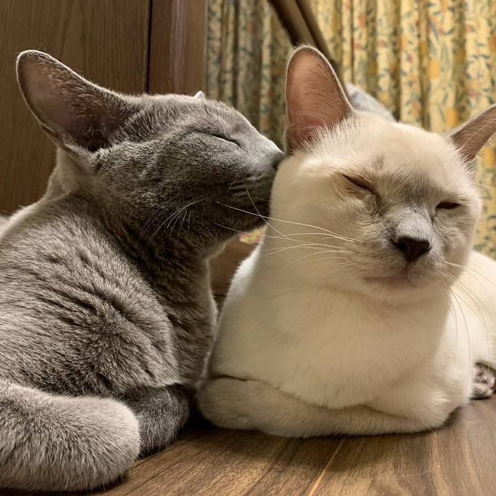 F5f3bcf5 551a 4903 b94b 9dae56965790 1735976956038