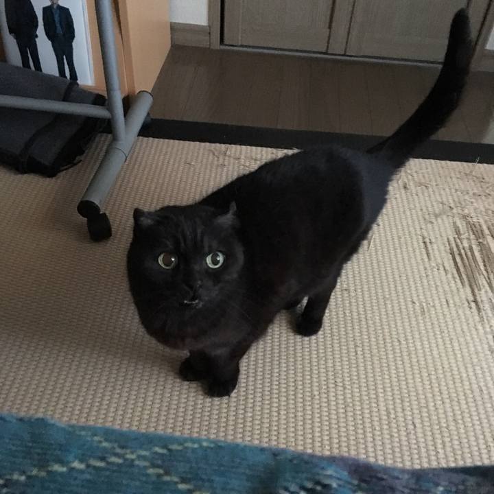 F5f3eb59 2827 4352 b515 a129aaab59cd 1518473688749