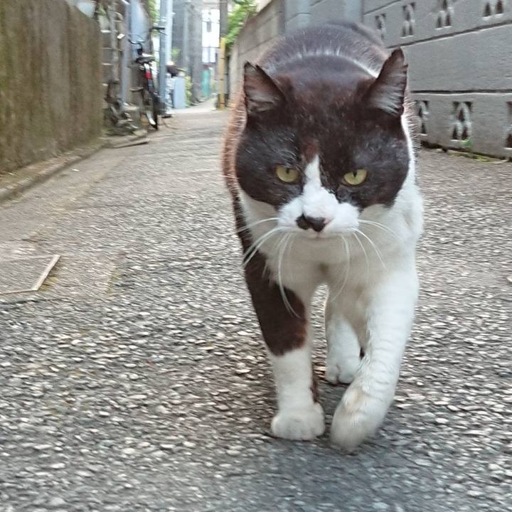 F5f40101 8d54 4217 8ff3 ff64f51901cb 1652258298259