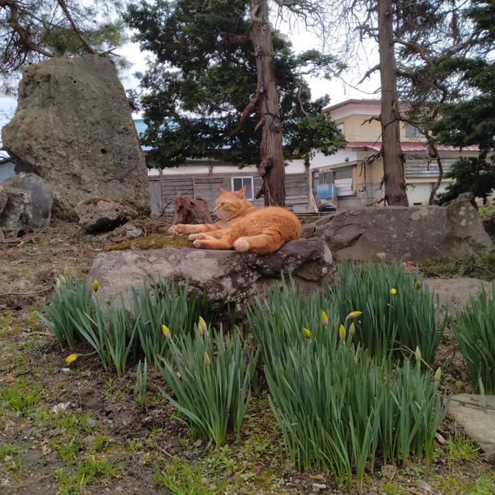 F5f41ad3 a0cb 4c5f 9670 c95290f7fd6b 1744956982486