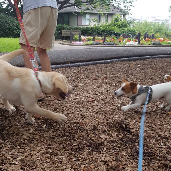 F5f45eeb 8cf8 42fd 9563 0fcba3176664 1563782946587