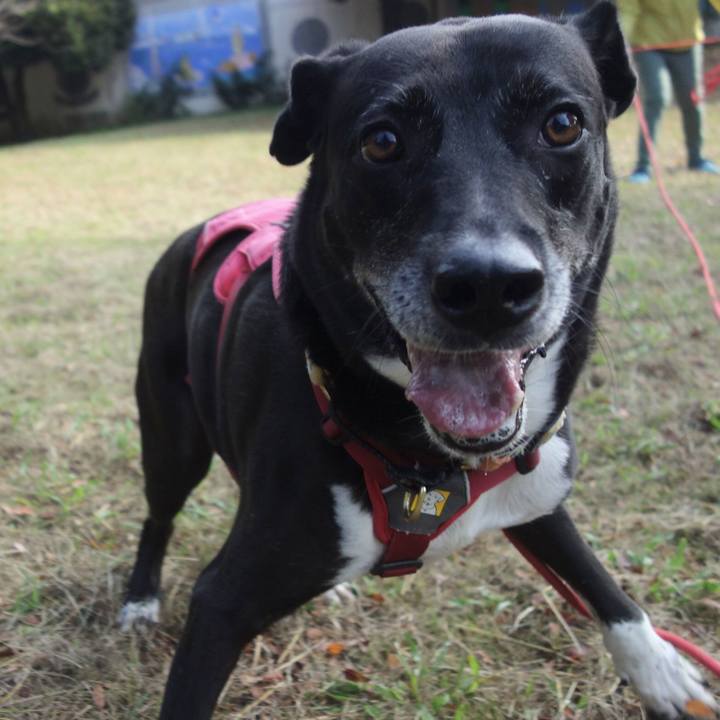 F5f4614e eff2 46d0 a33f 4e2a130168c4 1698194841929