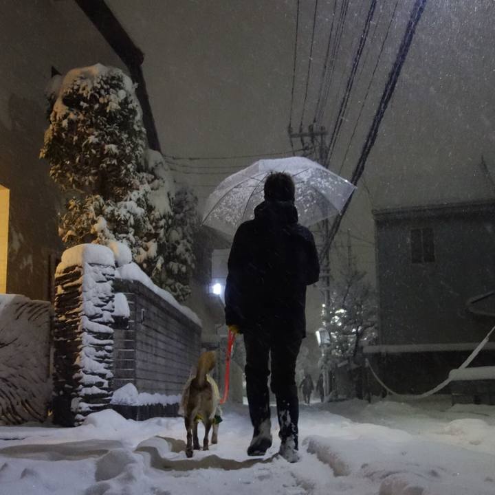 F5f4b22b fbd2 41cd 971a e476aa229154 1627861980642