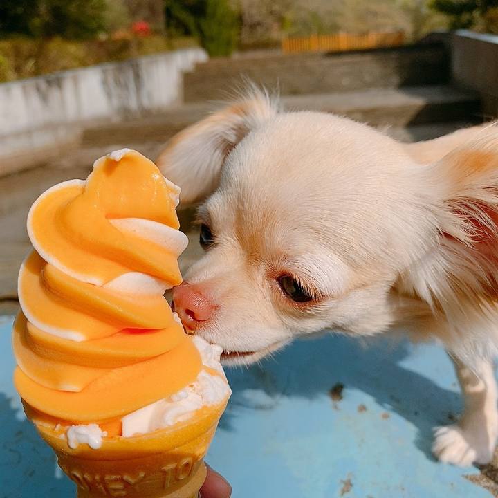 F5f4c1e1 16ae 4dc8 8cd5 67058d1c29ad 1617438964336