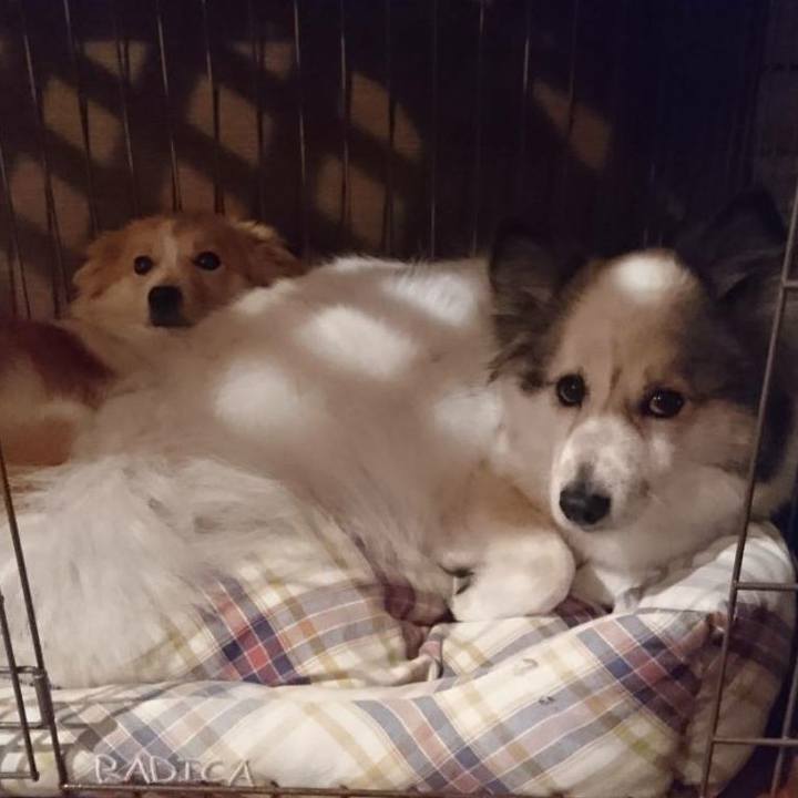 F5f4da0d c3fe 40eb b2cb 34b2c7095ea8 1520857743353