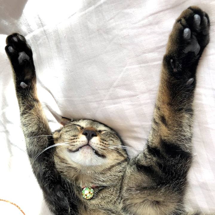 F5f4ff57 a3db 4561 8e74 d90ead337d31 1542373742739