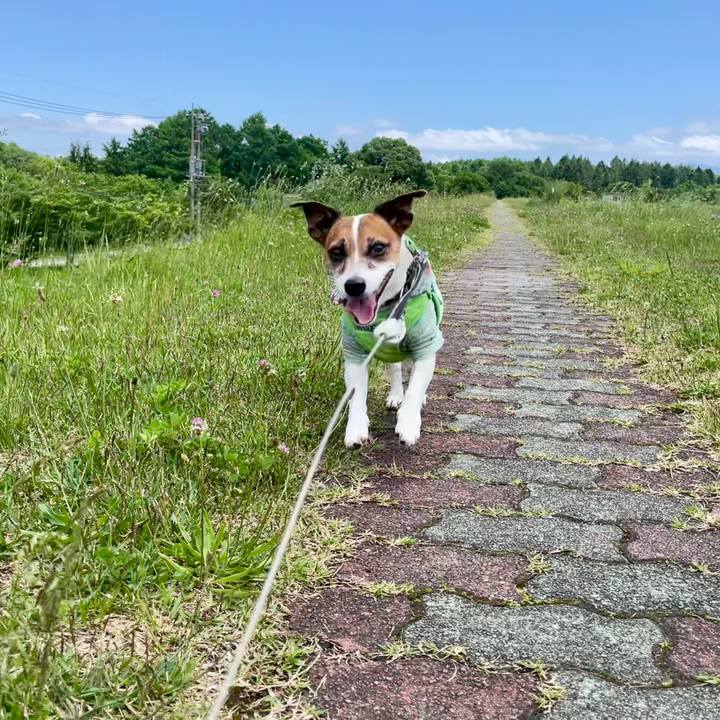 F5f54258 c9e8 4967 8e52 bb19832ab084 1750132134581