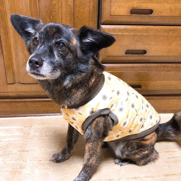 F5f555f0 7d33 424f b071 232a10e6e476 1594347618112