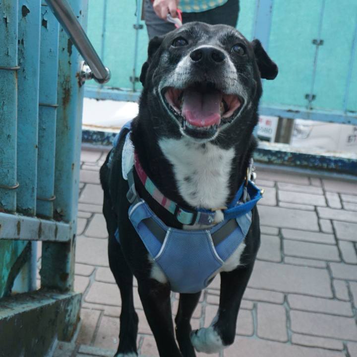 F5f57991 82e4 49e4 8308 6e424eb518c8 1756175329075