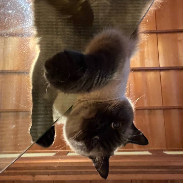 F5f58886 9da3 450c a580 8a1257b79ba7 1687781904312