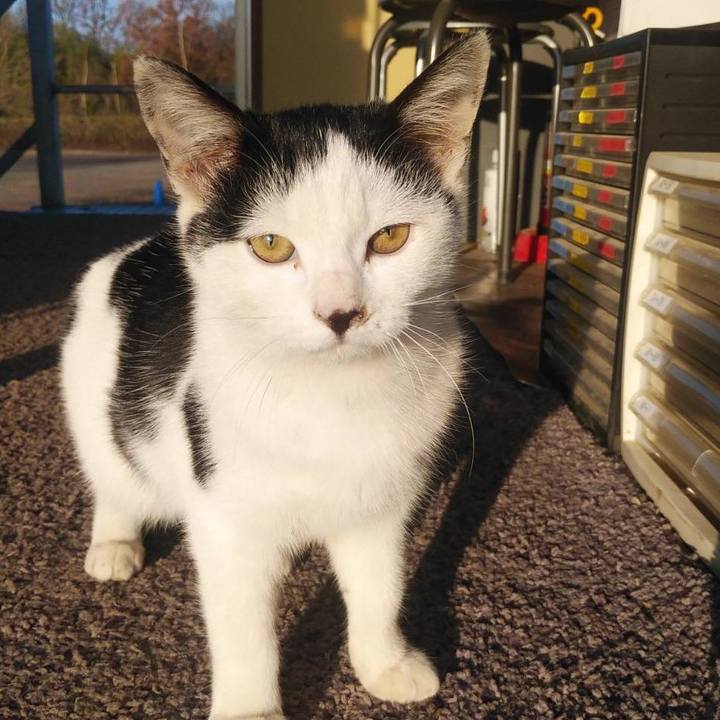 F5f59990 c1d7 41d9 a36d dc188ec310cd 1576798902911