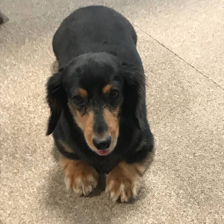 F5f599fd c36b 4d51 9d4c fcc7959f9ed0 1533506151538