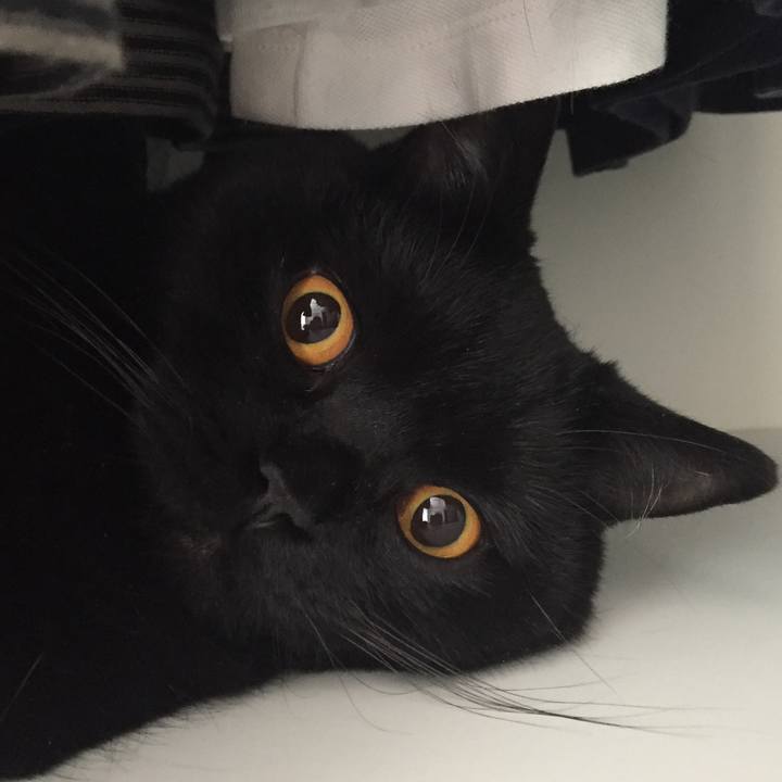 F5f5e75e 1f40 4a97 9aad 0911bbb64566 1530480886727