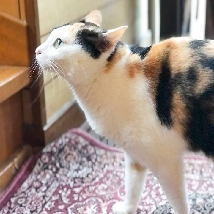 F5f6209a 699e 4334 b5bd a3142697d827 1527642770082