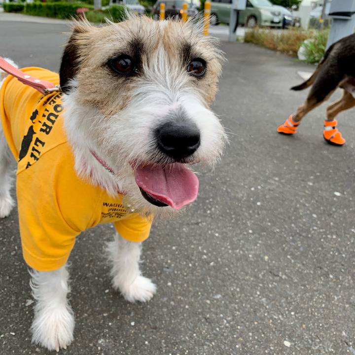 F5f6304e 78d4 4749 b38d 4a7d27ad15c7 1622202927067