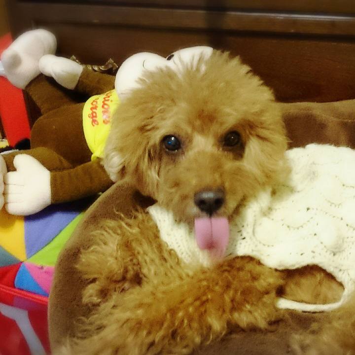 F5f6363b 31aa 4c17 8f00 f8d8cc85bb63 1516355786337