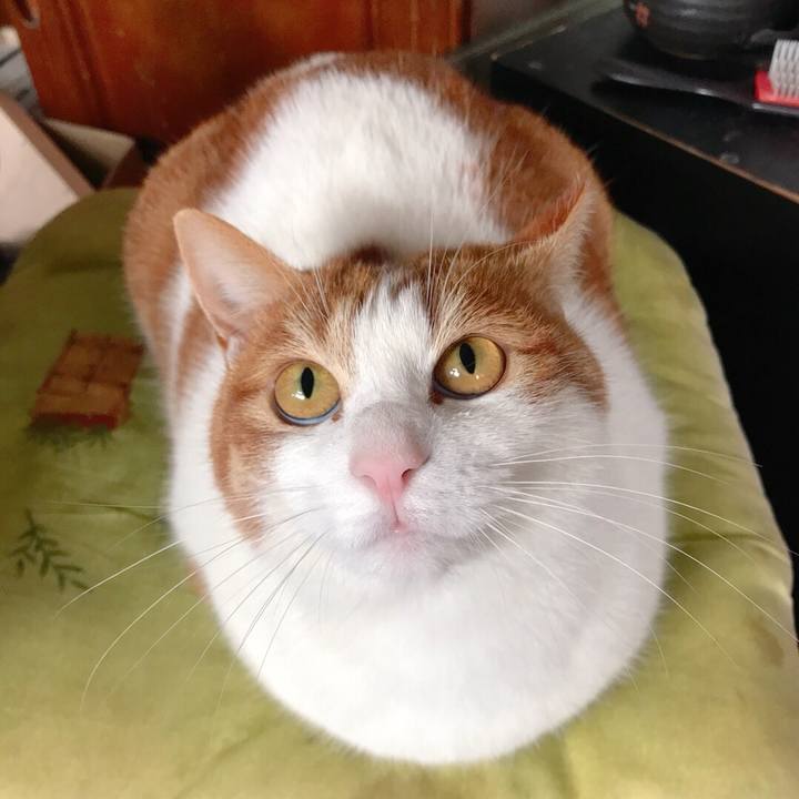 F5f66f03 a114 431f 9dca aff95cbe6f12 1516595836771