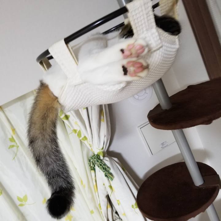 F5f6c2b9 8c17 48fa b094 f9615058e920 1599432722561