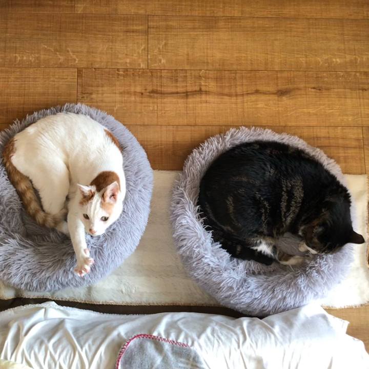 F5f71181 5e08 4fa7 80ad ca592c726566 1704497488107