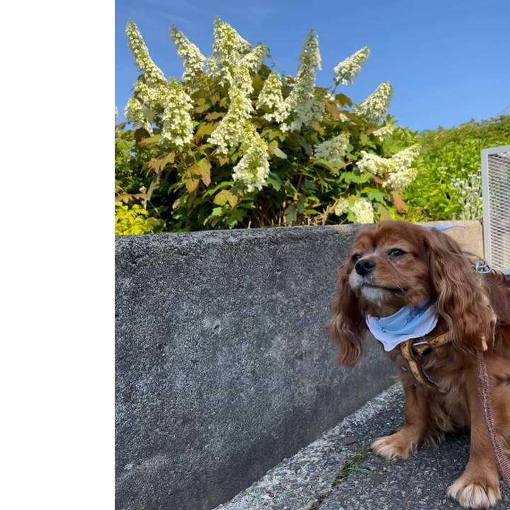 F5f711dc c1d9 43f5 b29c fc9535aafd32 1653781061884