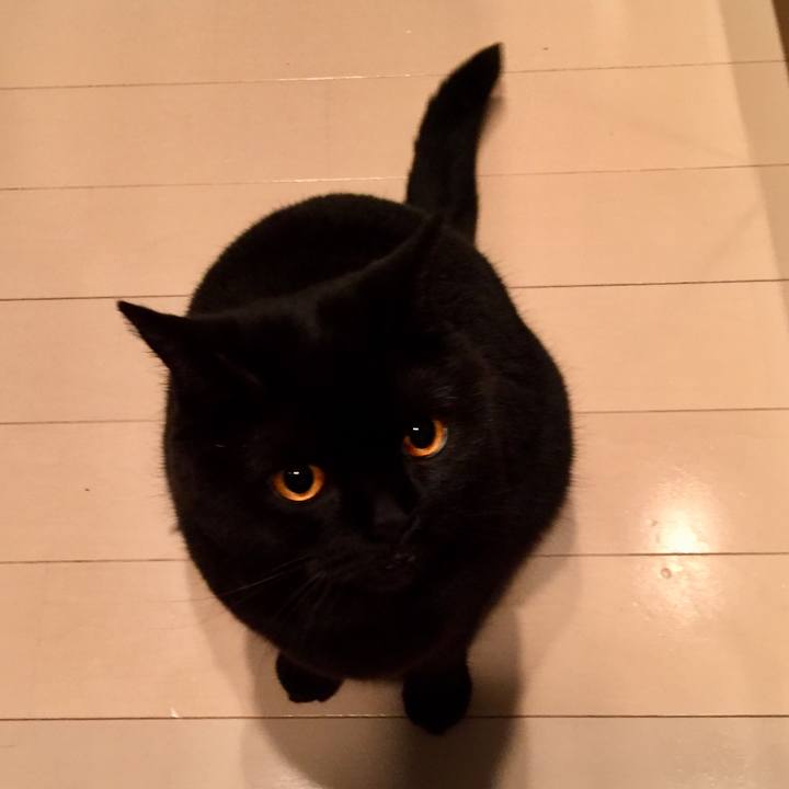 F5f76d7a 29d7 4a1d b813 b3e222bfcce5 1559046754208