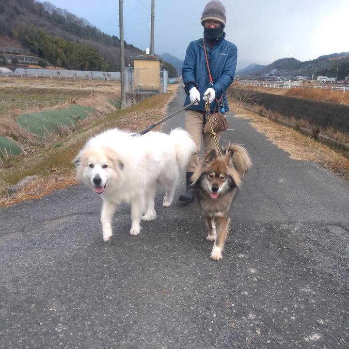 F5f78fb0 0bf8 4605 8f9a b38d430497b4 1642473824377