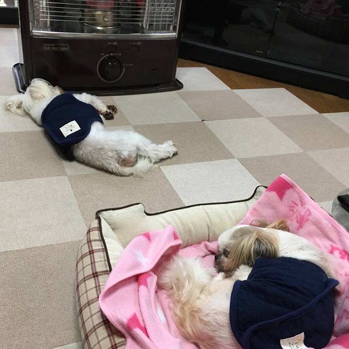 F5f7919d 7bdd 440d bebb d13ac66eb220 1634600012611