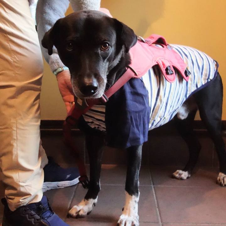 F5f7ca19 cce9 4107 a5a2 c328c8b6a8df 1701822893986