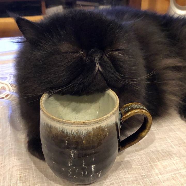 F5f7e91a cc1d 46e1 a4fb fe7762cbdd03 1542958497951