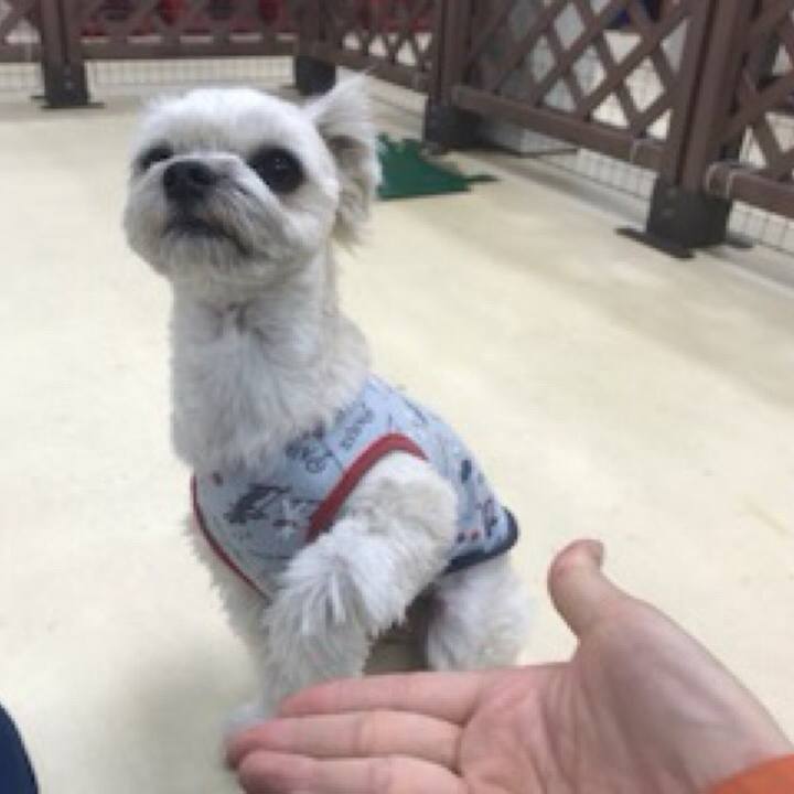 F5f82c5e f71f 41e6 b640 f373c037b6f8 1518089288377