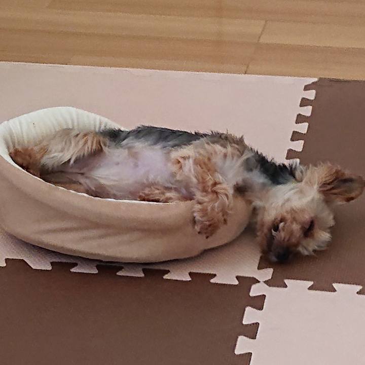 F5f83903 90fe 4185 8b44 6cd390b79d1b 1564313192592