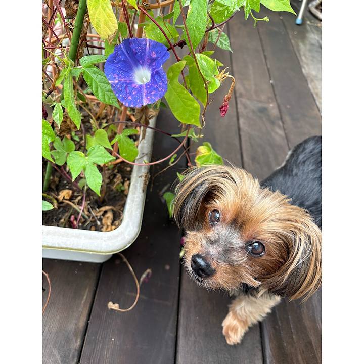 F5f839ca caed 402a b90f 9d262470b7ed 1727220002431