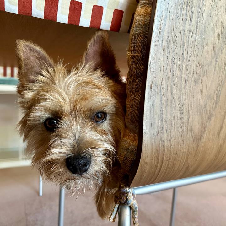 F5f84409 6e97 4fba b2f3 a565ac11d0aa 1750144723985