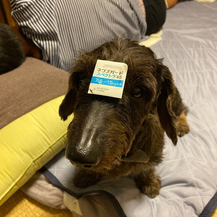 F5f85e6a 2e4d 4a2a 90fe 1d3f41aebf94 1569941079309